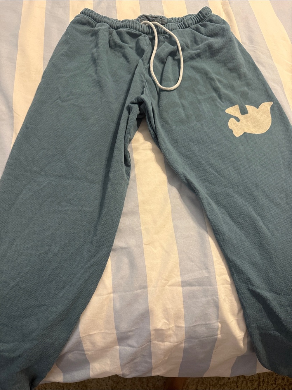 Free People Teal Blue Kids Pajama Bottoms with White Duck Print